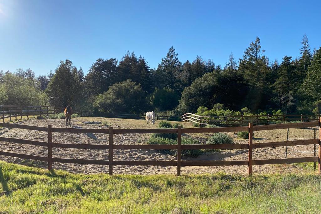 MLS #ML82020749 image #40