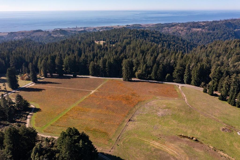 MLS #ML82020749 image #46