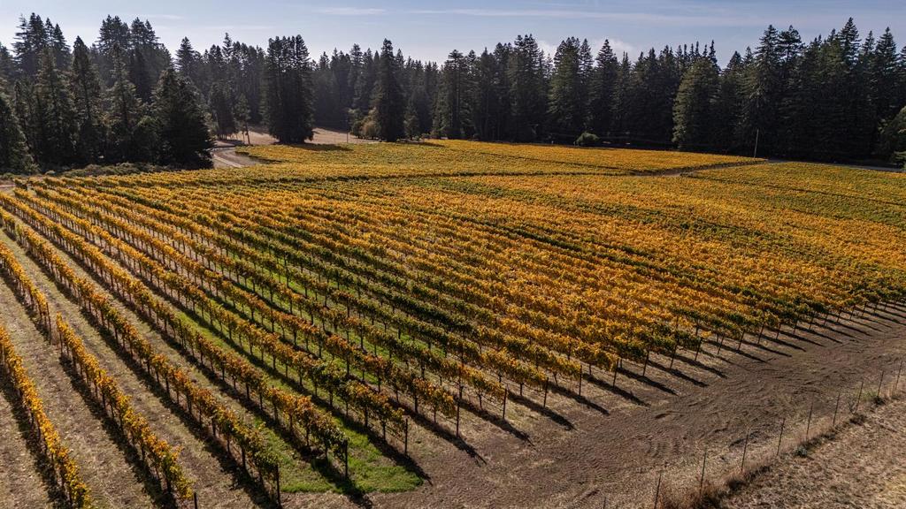 MLS #ML82020749 image #47