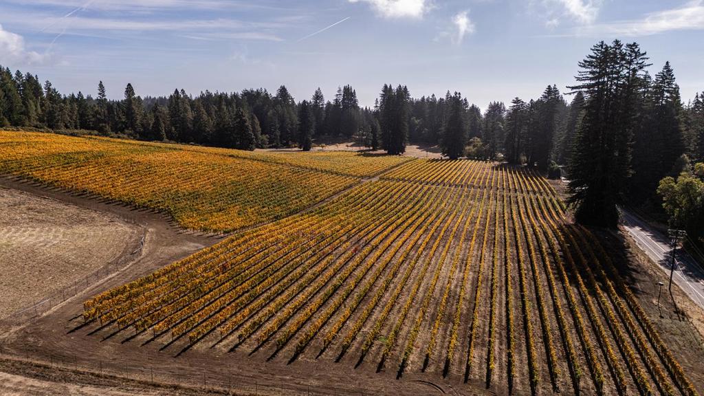 MLS #ML82020749 image #48