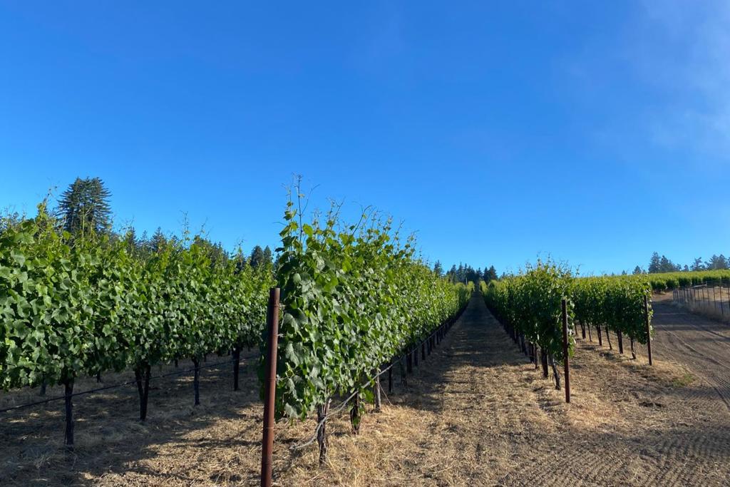 MLS #ML82020749 image #49