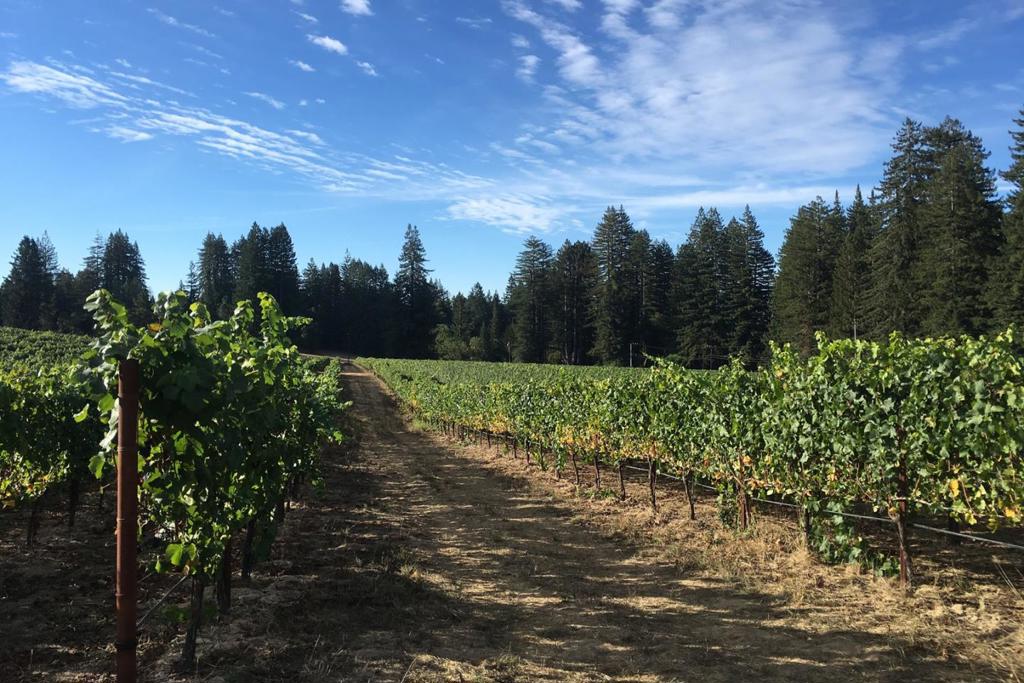 MLS #ML82020749 image #50