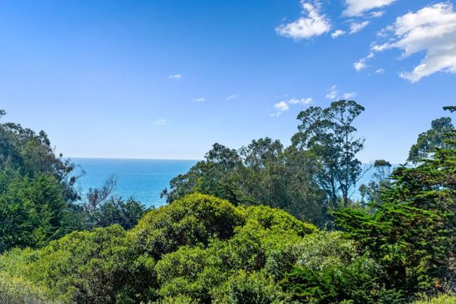 MLS #ML82021266 image #53