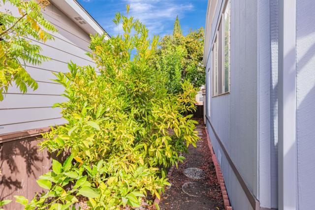 MLS #ML81787592 image #41