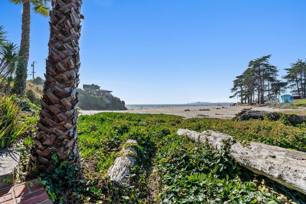 MLS #ML82021380 image #60