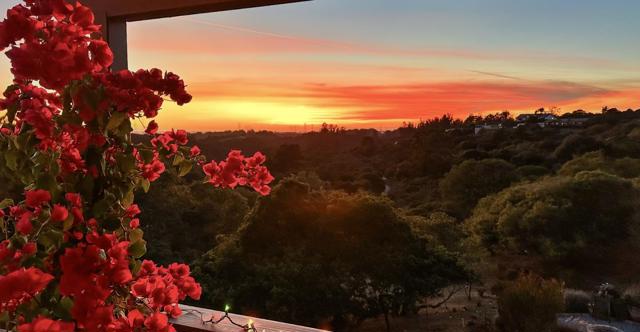 MLS #ML82021594 image #31