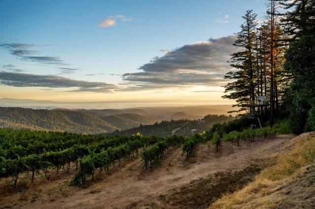 MLS #ML82021650 image #64