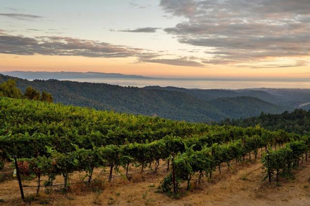 MLS #ML82021650 image #65