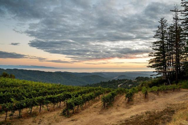 MLS #ML82021650 image #67