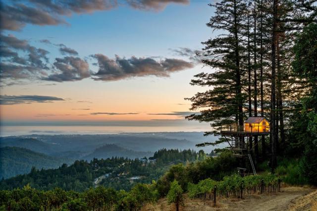 MLS #ML82021650 image #68