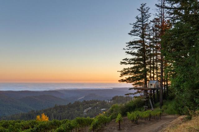 MLS #ML82021650 image #74