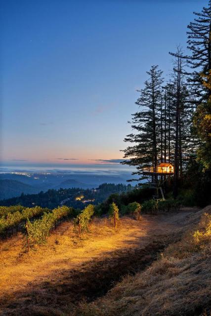 MLS #ML82021650 image #87