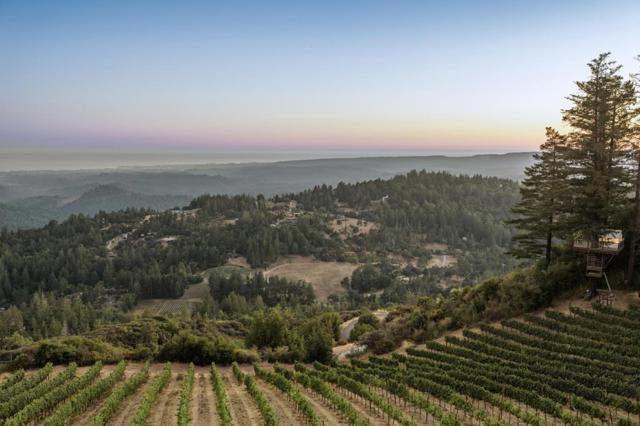 MLS #ML82021650 image #92