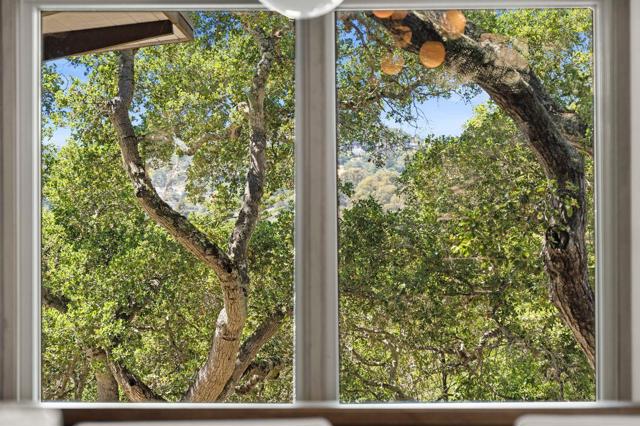 MLS #ML82021713 image #59