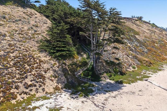 MLS #ML82021820 image #7