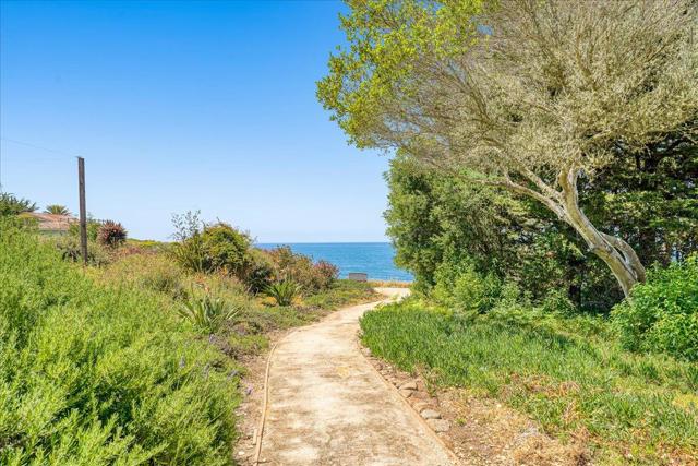 MLS #ML82021820 image #71