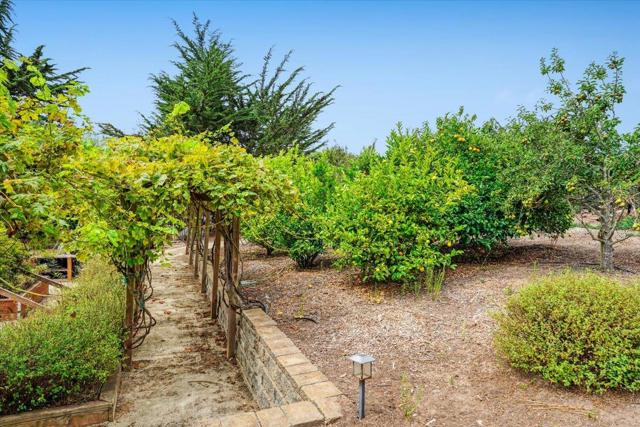 MLS #ML82021820 image #76