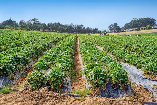 MLS #ML82021820 image #83