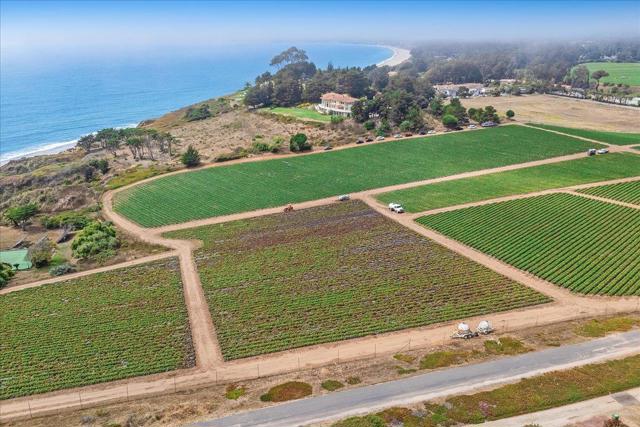 MLS #ML82021820 image #84