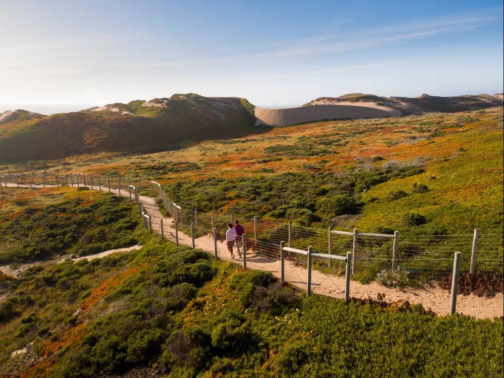 MLS #ML82022145 image #7