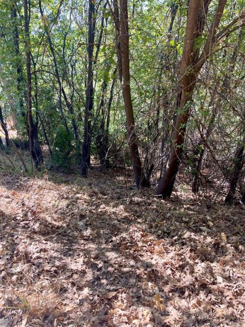 MLS #ML82022215 image #12