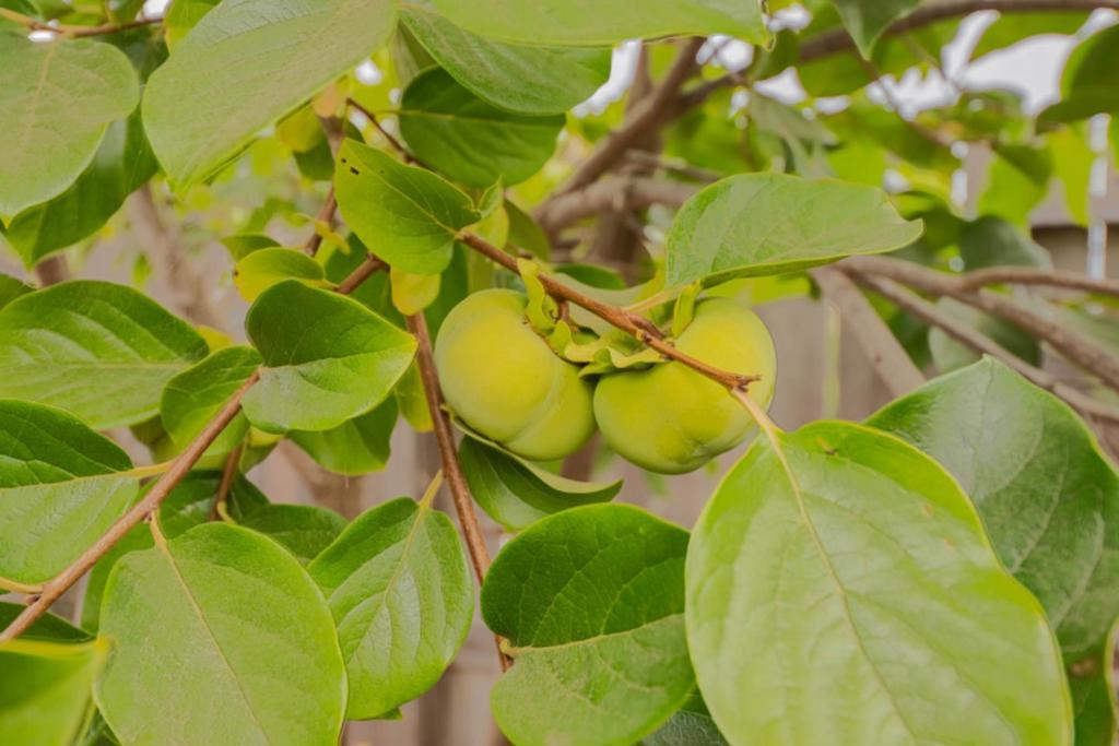 MLS #ML82022254 image #57