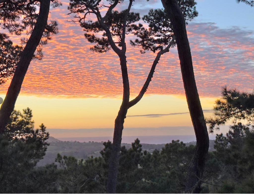 MLS #ML82022396 image #1