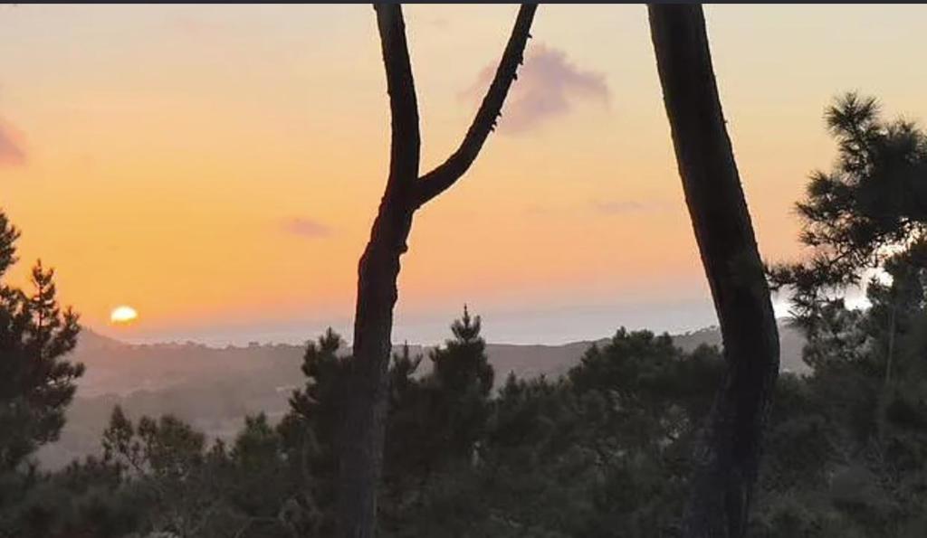 MLS #ML82022396 image #8