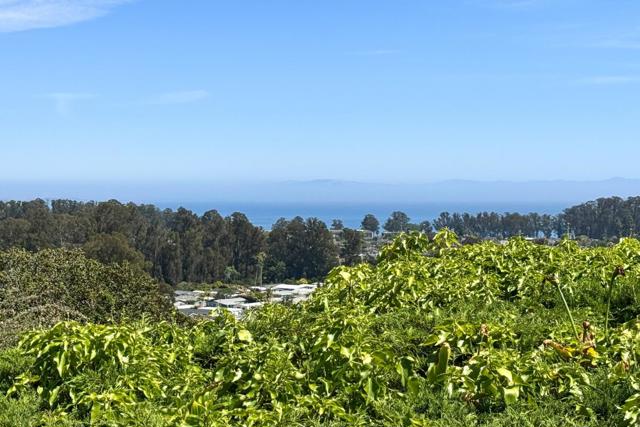 MLS #ML82022748 image #5