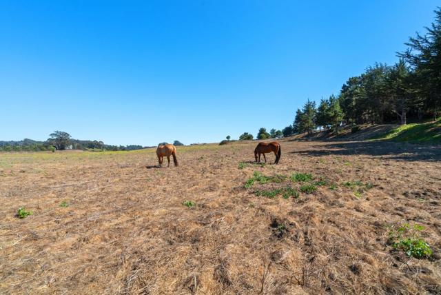 MLS #ML82022778 image #112