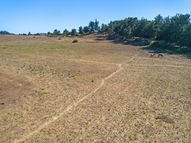 MLS #ML82022778 image #114