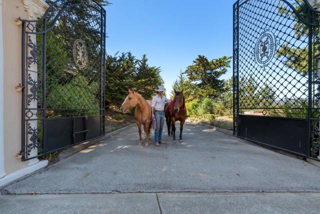 MLS #ML82022778 image #116