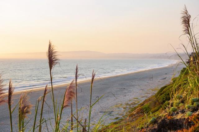 MLS #ML82022778 image #12