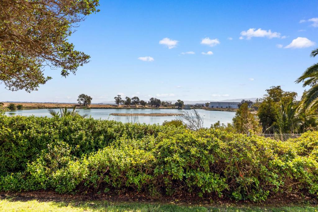 MLS #ML82022951 image #33