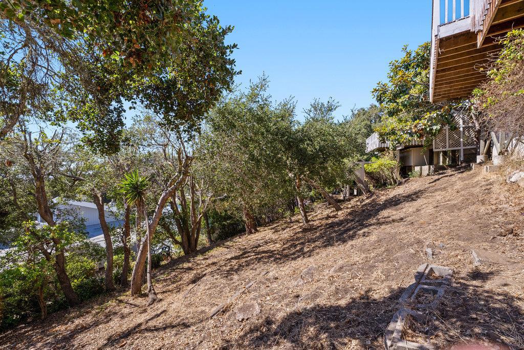 MLS #ML82022961 image #36