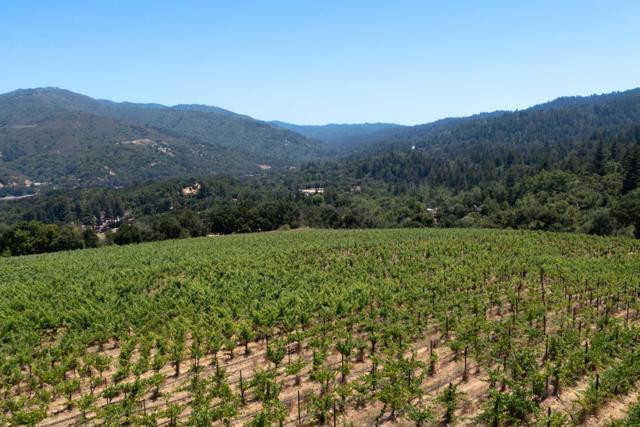 MLS #ML82023193 image #2