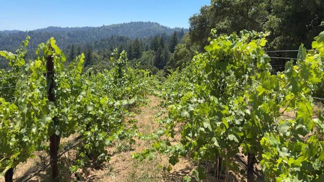 MLS #ML82023203 image #11