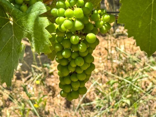 MLS #ML82023203 image #13