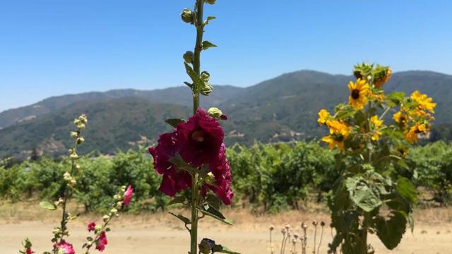 MLS #ML82023203 image #14