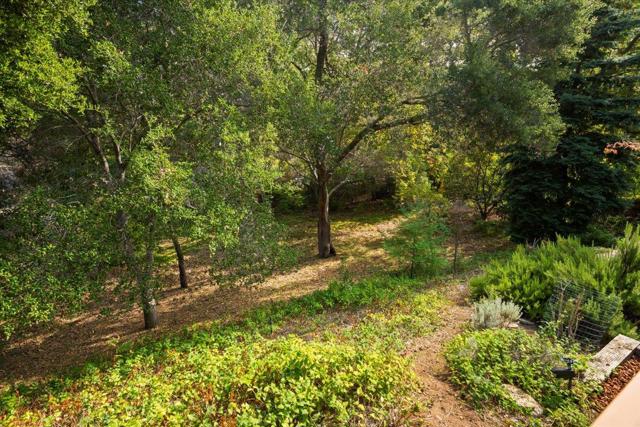 MLS #ML82023517 image #61