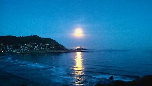 MLS #ML82023650 image #53