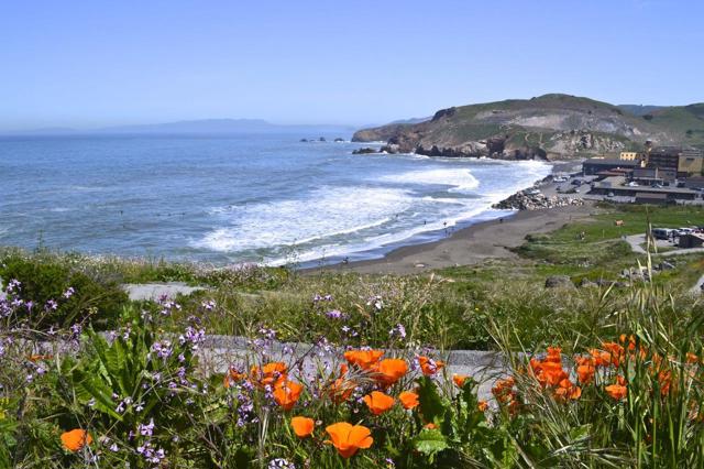 MLS #ML82023650 image #55