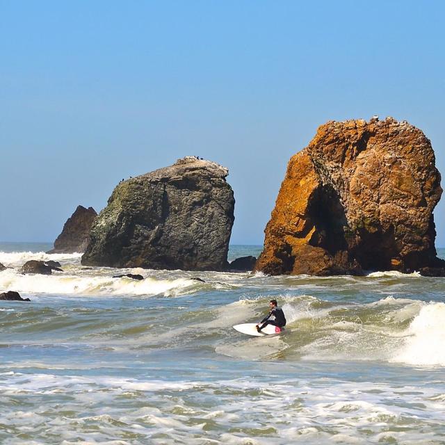 MLS #ML82023650 image #56