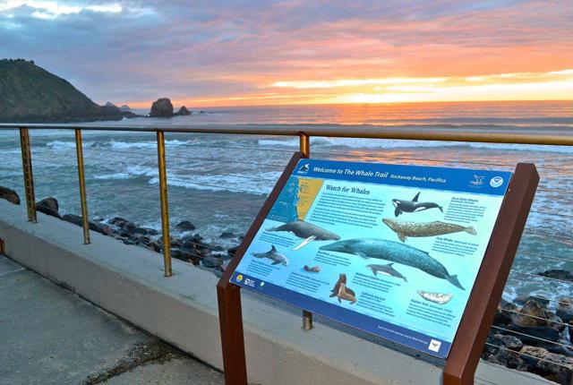 MLS #ML82023650 image #57