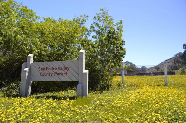 MLS #ML82023650 image #59