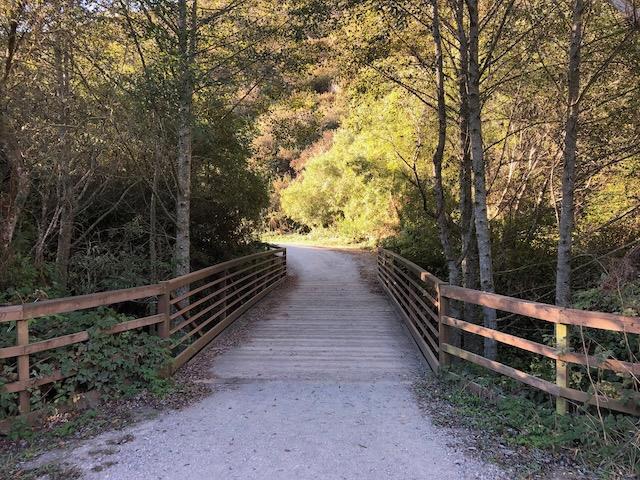 MLS #ML82023650 image #60