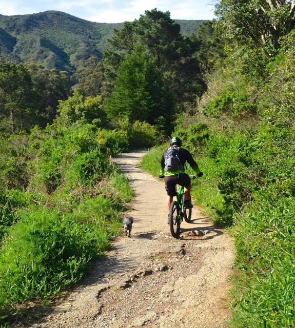 MLS #ML82023650 image #64