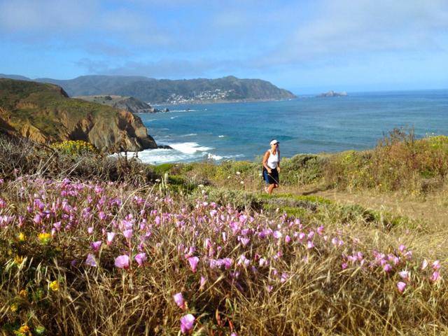 MLS #ML82023650 image #68