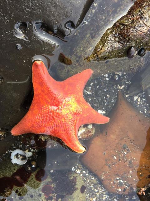 MLS #ML82023650 image #72