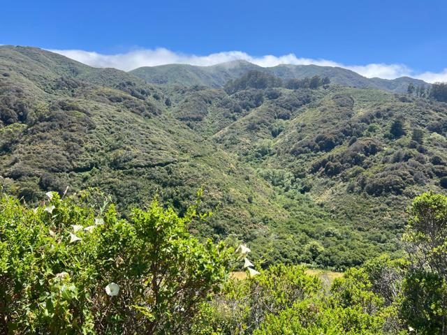 MLS #ML82023650 image #73